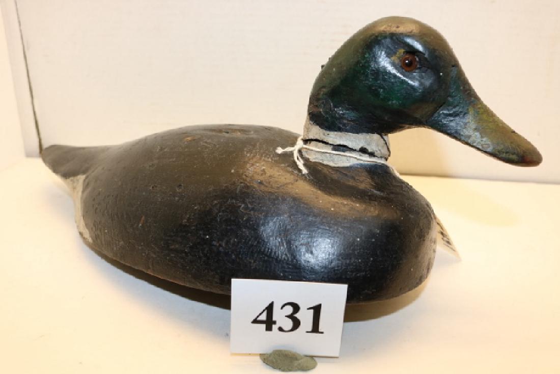 Ring Neck decoy (1 of 3)