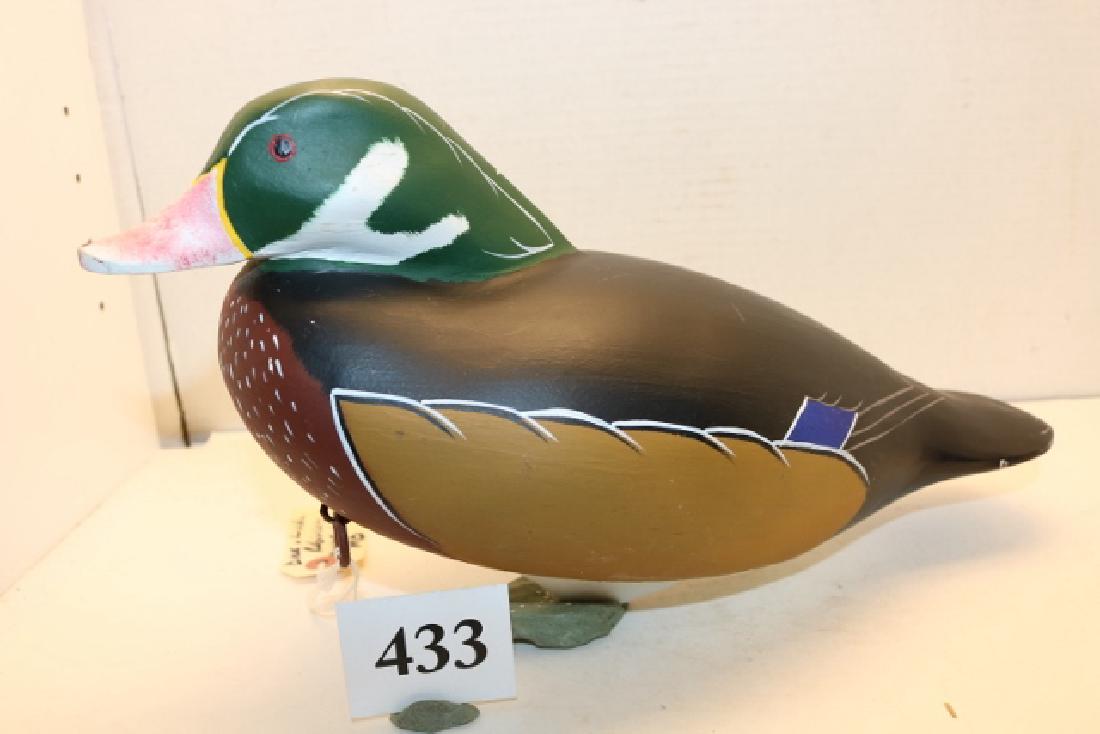 "low head" drake wood duck (1 of 4)
