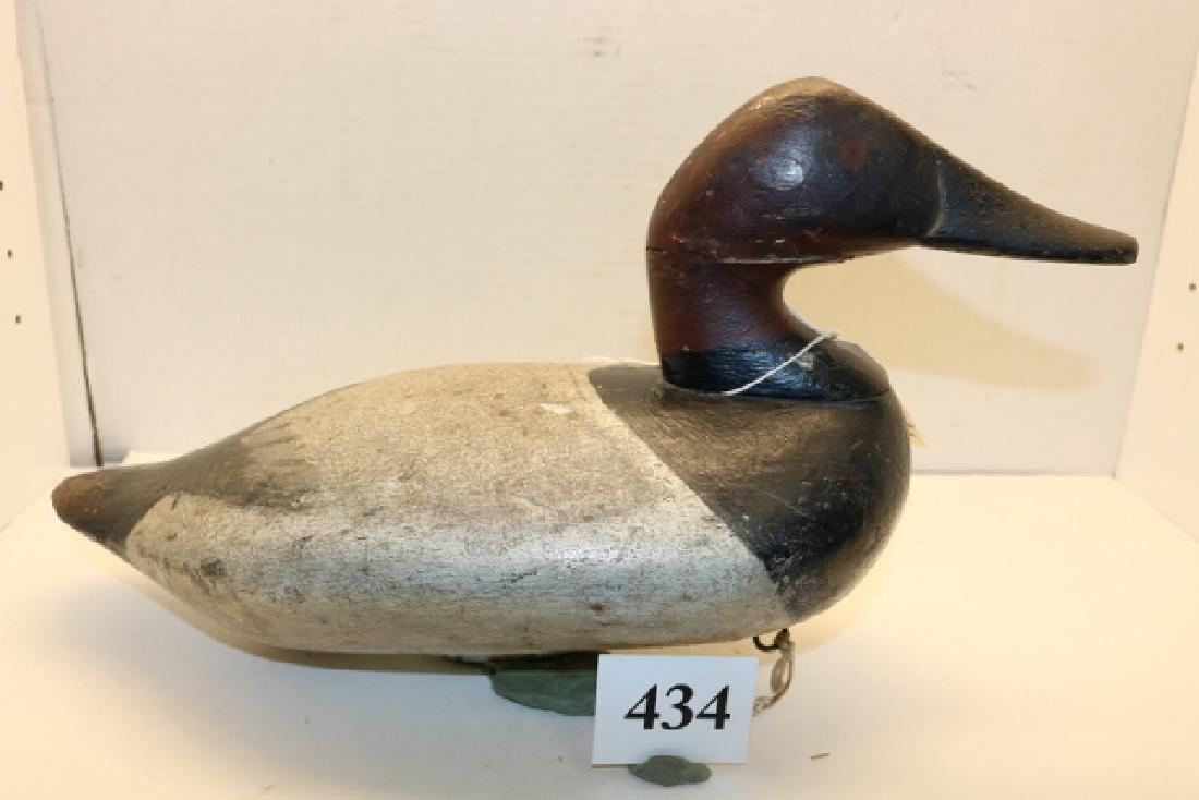 Canvasback drake (1 of 4)