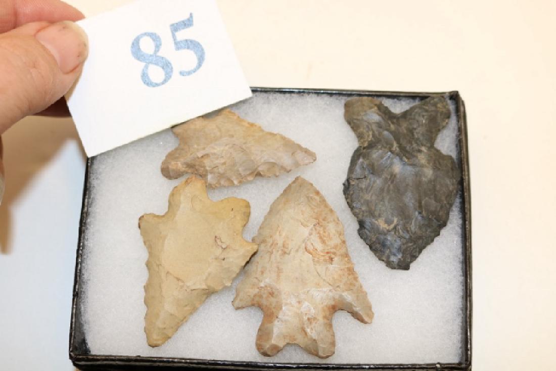 4 Bifurcate Points: 4 Bifurcate Points, Ohio – largest 1 7/8"