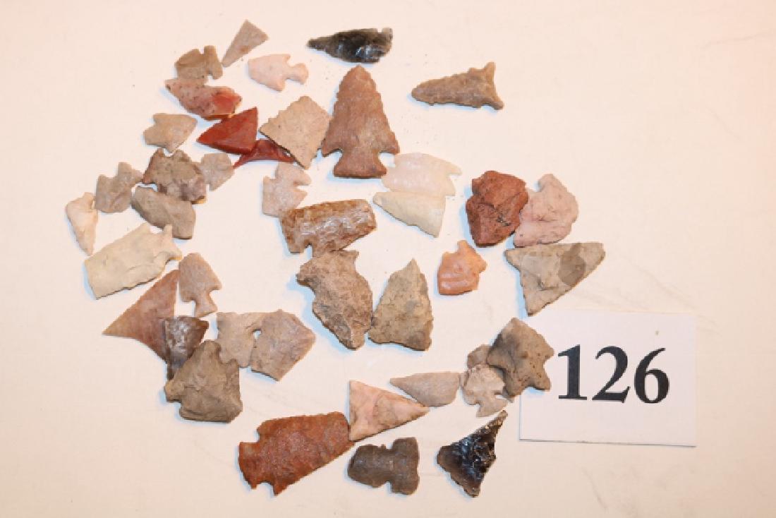 Box containing 30 Bird Points (1 of 1)