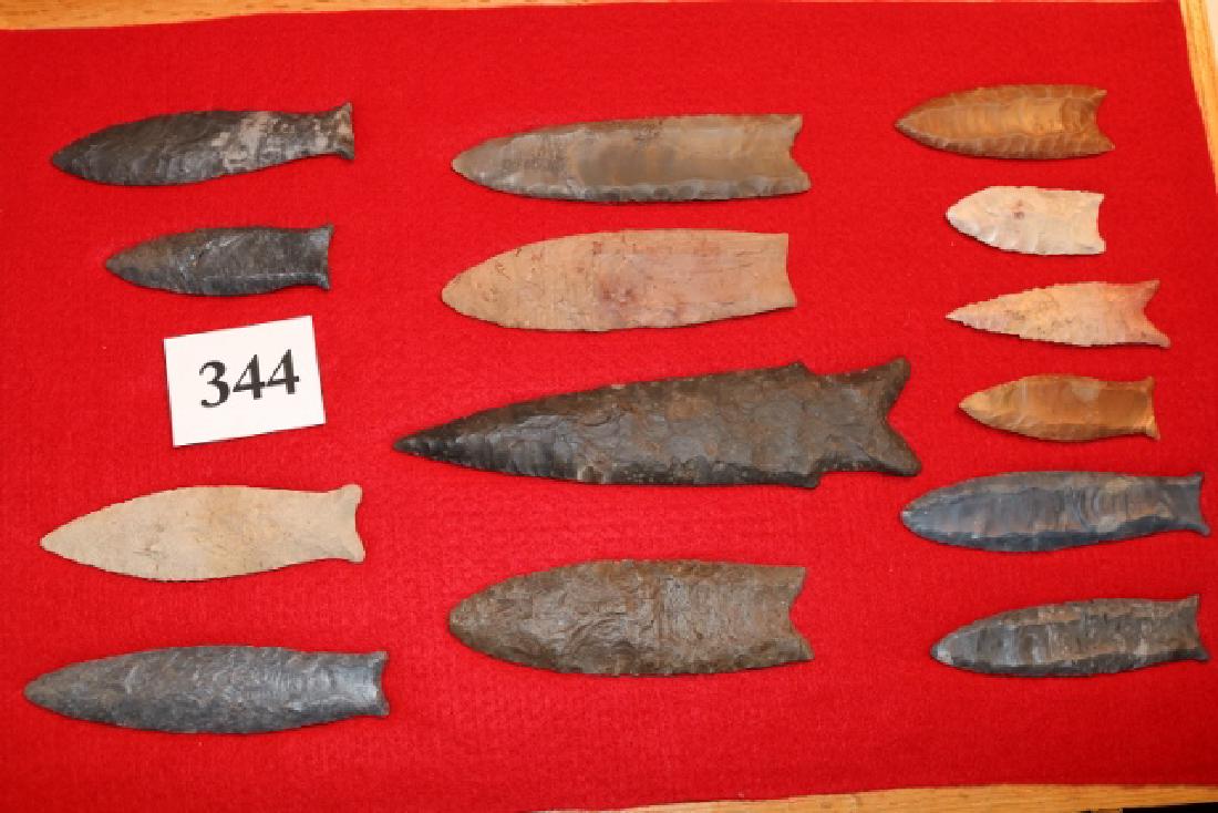 14 Reproduction Points (1 of 4)