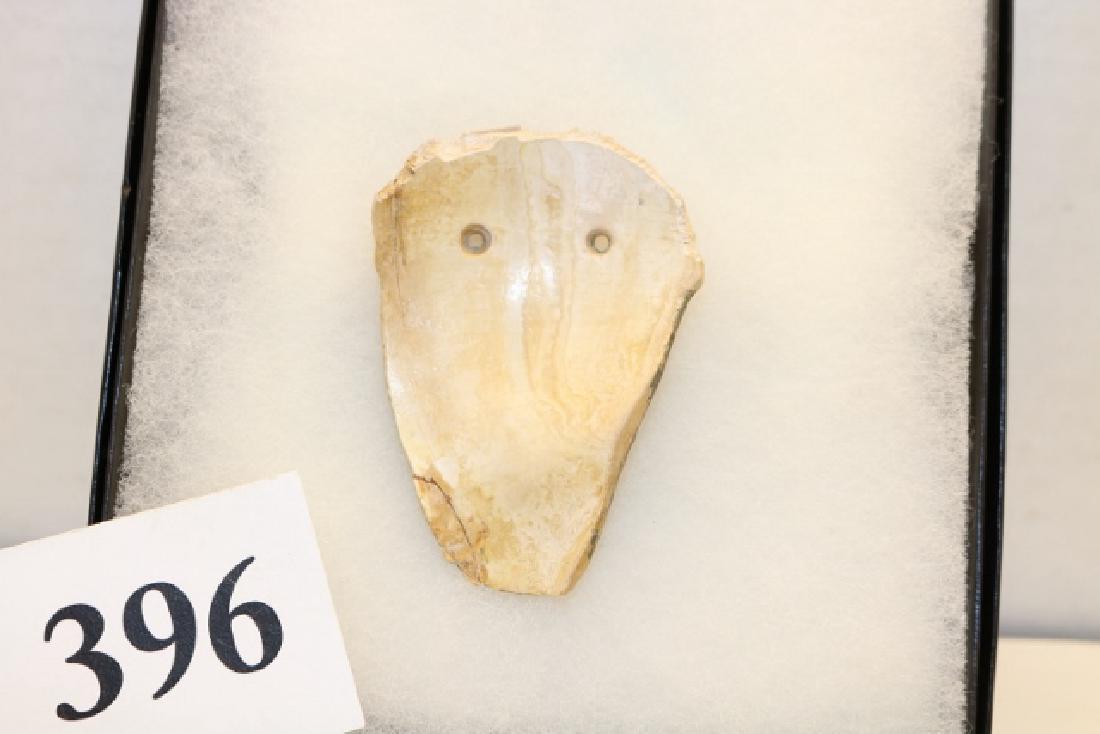 Miniature Shell Weeping Eye Gorget (1 of 2)