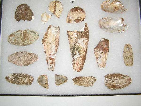 Glacial Kame Shell & Stone Gorgets & Pendants: Glacial Kame Shell & Stone Gorgets & Pendants OH - Davis COA