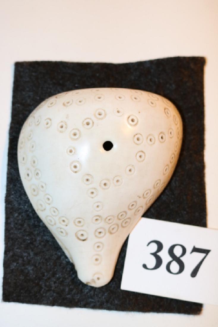 South Seas Islands Shell Gorget: 3 1/2" x 4 1/2" South Seas Islands Shell Gorget with custom stand