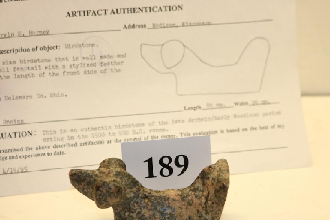 Popeye Birdstone (1 of 4)