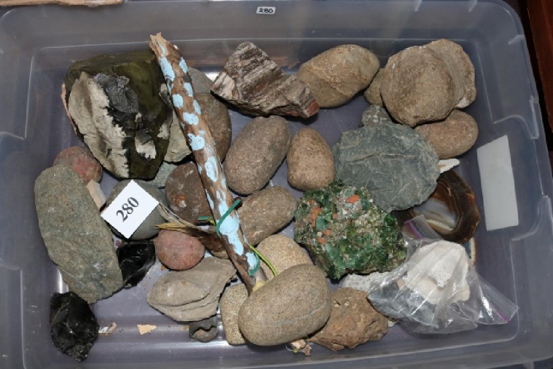 Mineral Rock Specimens, Fossils (1 of 1)