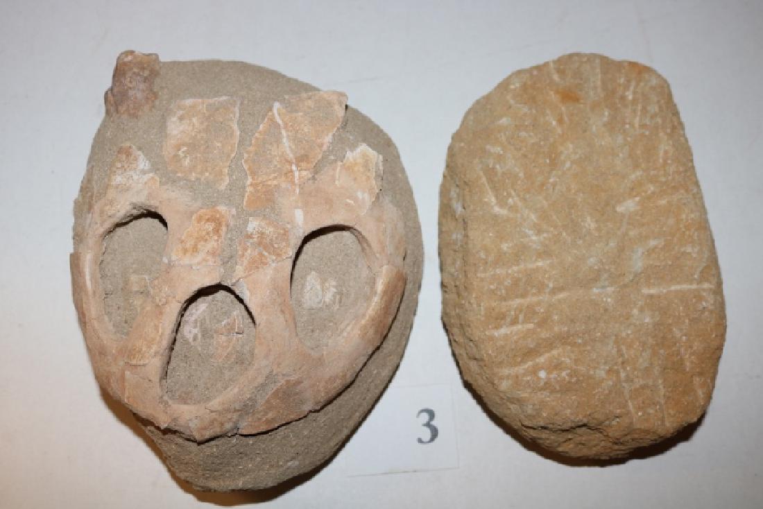 (2) Stone Carvings: (2) Stone Carvings, Central America, age uncertain - 0ne on the right 6 genuine Mosasaur - one on left man made