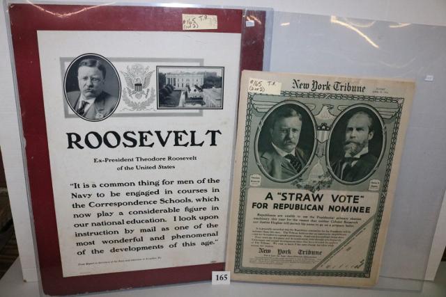 Teddy Roosevelt 1915-1916 Poster (1 of 4)