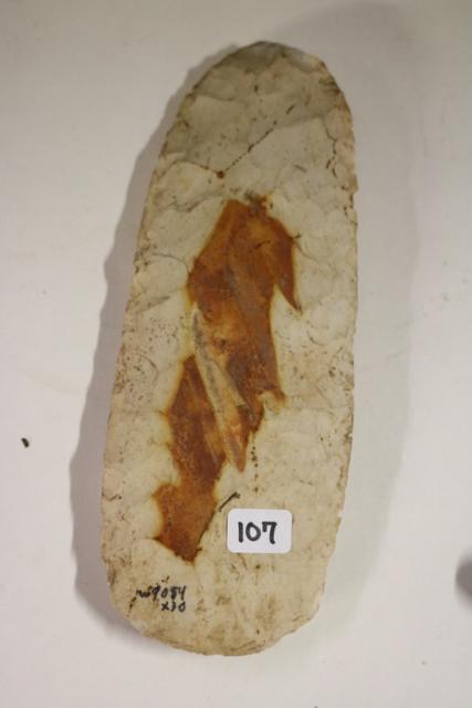 Flint Celt, Mill Creek Chert: Flint Celt, Mill Creek Chert, St. Clare Co. 7 ¾”