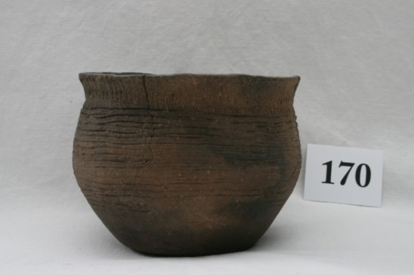 Ft. Ancient Pot