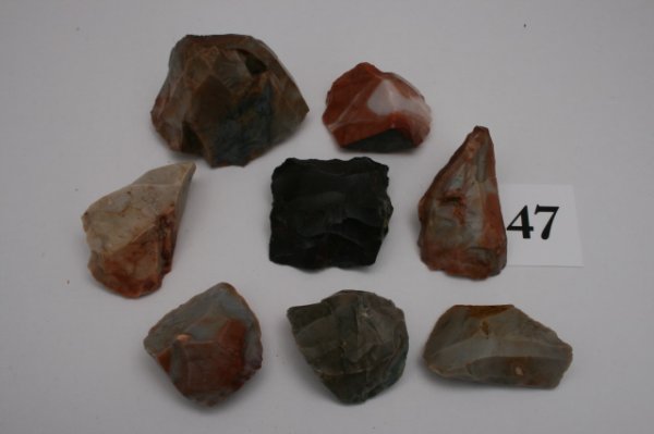 Eight Flint Ridge Cores