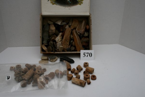 Crinoid Fossil Beads