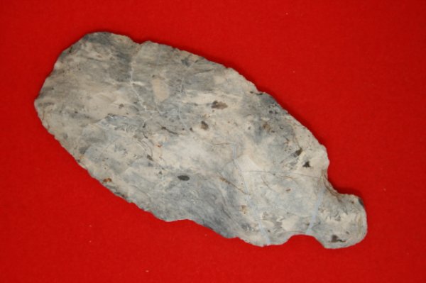 TURKEYTAIL END SCRAPER: TURKEYTAIL END SCRAPER, COSHOCTON, 3 ¾