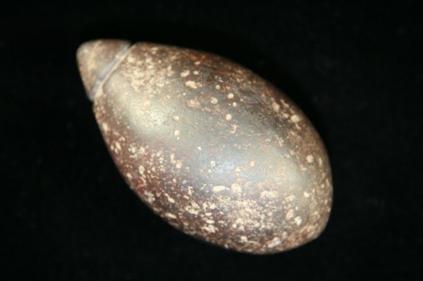 HEMATITE PLUMMET: PLUMMET, HEMATITE, 2 ½", LICKING CO., OH. PICTURED CENTRAL STATES ARCHAEOLOGICAL JOURNAL VOL. 39, #4, PG. 202 (1992)