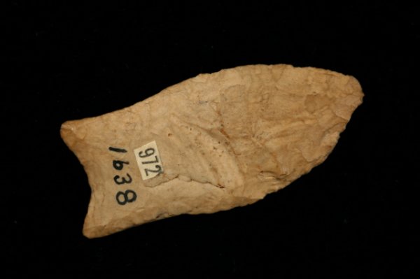 PALEO FLUTED POINT
