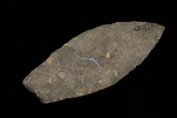 PALEO LANCEOLATE