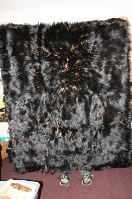 52" x 64" Black Bear Hide Buggy Robe: 52" x 64" Black Bear Hide Buggy Robe – some hair loss early 1900's, old label reads "perfection Fur Robe