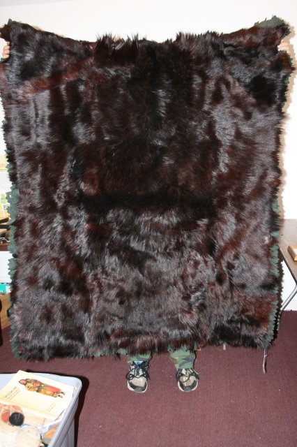 50" x 76" Black Bear Hide Buggy Robe: 50" x 76" Black Bear Hide Buggy Robe – Fine Condition – Nice!