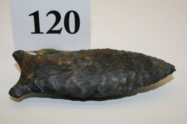 Beaver Lake Point: 3 13/16" Cochocton Flint Paleo Beaver Lake Point – small ding to tip (fine)