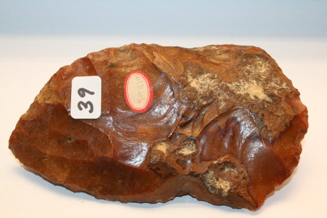 Florida Coral Paleo Blade: 3” x 5 ¼” Large Florida Coral Paleo Blade – great color, old label appears to read Millvale?