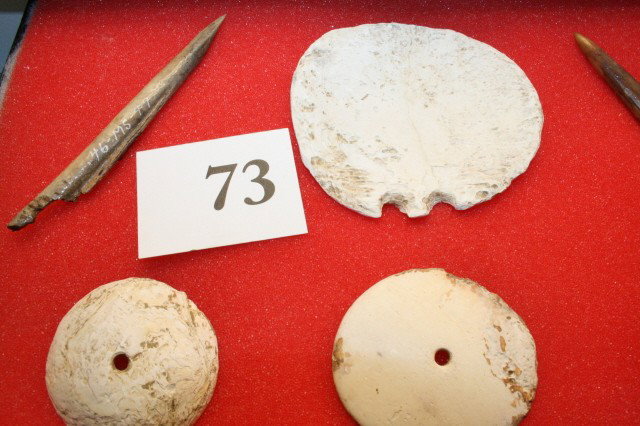4 Shell Circular Gorget - 2