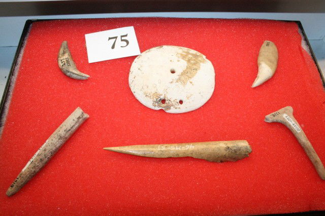 Shell Gorget: Neat 3 ¼” Shell Gorget housed in 8 x 12 Frame along with 2 bears teeth and 3 bone tools, Ohio and West Virginia