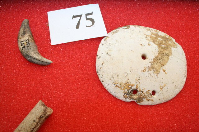 Shell Gorget - 2