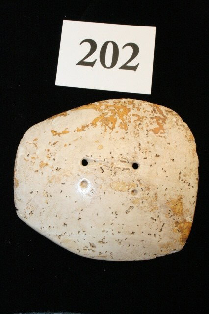 Shell Gorget