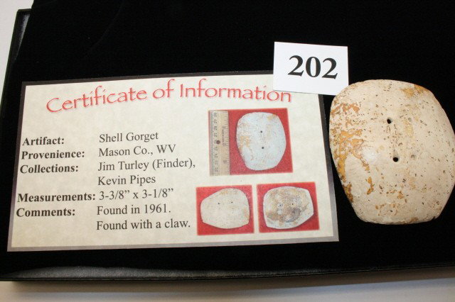 Shell Gorget - 2