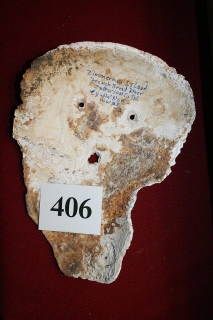 Shell Face Gorget - 2