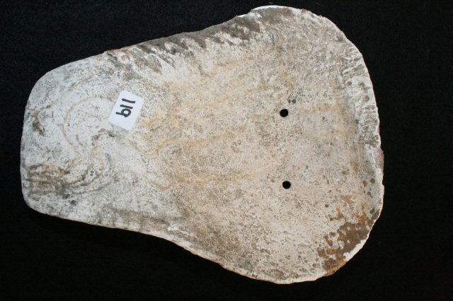 Shell Death Mask: 7” x 5 ¾” Shell Death Mask – Relief Carved Nose (drilled) Mason Co. West Virginia (Very Fine!)