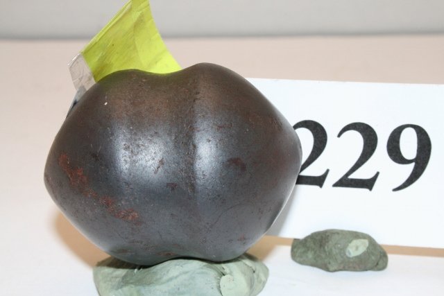 Hematite Full Groove War Club: 2 ¼” Miniature Polished Hematite Full Groove War Club, Knox Co. Ohio – Ex. Don Ward Collection