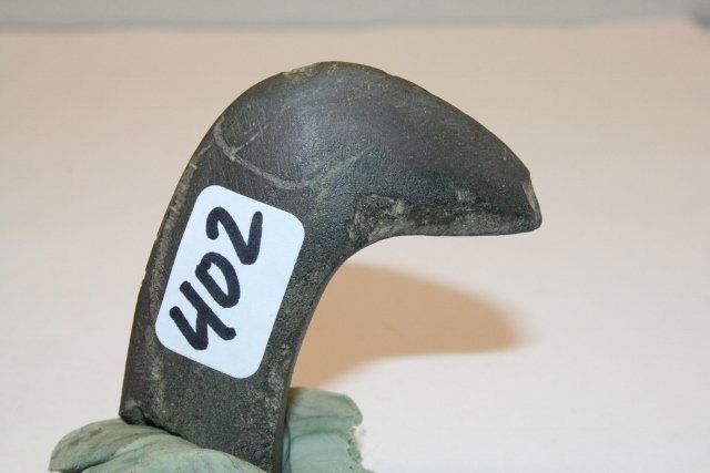 2” Birdstone Head: 2” Birdstone Head of Reddish Banded Slate found by Mike Pfeffer in Union Co. Ohio