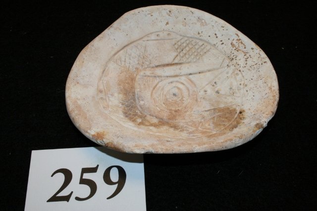 Engraved Shell Gorget .