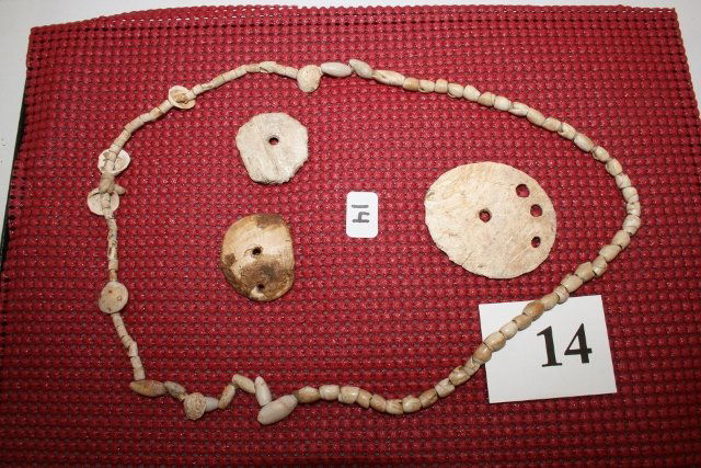 4 Shell Artifacts: 8 x 12 Frame with 4 Shell Artifacts including a 24” strand of shell and bone beads, and 3 drilled shell gorgets – pendants – largest 2” in dia.
