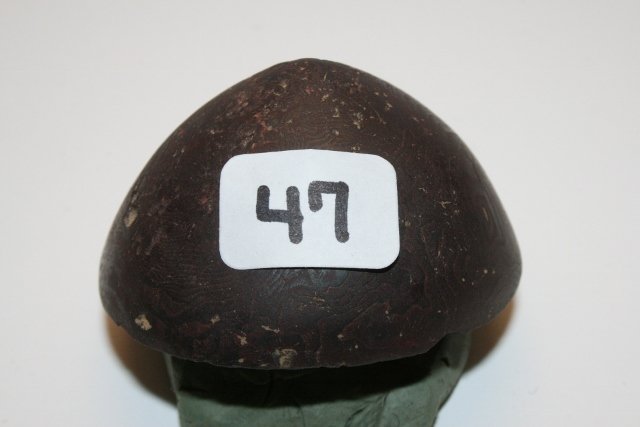 Hematite Cone: 2” Dia x 1 1/8” Hematite Cone, found by Randy Johnson Scioto Co. Ohio – won best field find @ ASO Meeting, Grade 9 Jackson C.O.A.