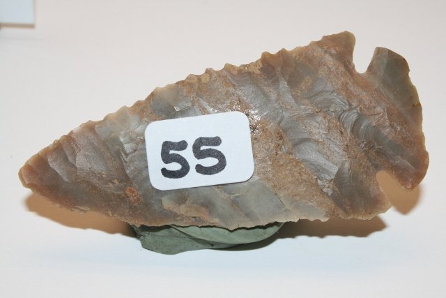 Carter Cave Dovetail: 2 7/8” Colorful Carter Cave Dovetail found in Mays Lick, Ky. Grade 8 Putty C.O.A.
