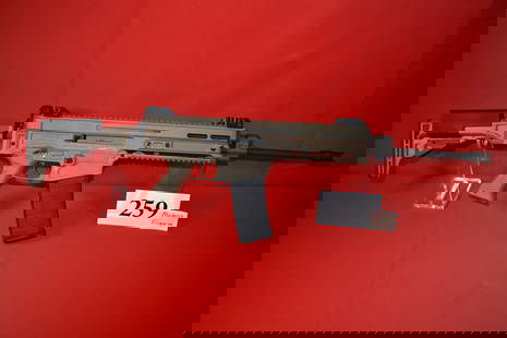 (X) CZ 805 Bren S1 5.56mm Rifle: (X) British No. 4 Mk &#189; (F) FTR .303 Rifle