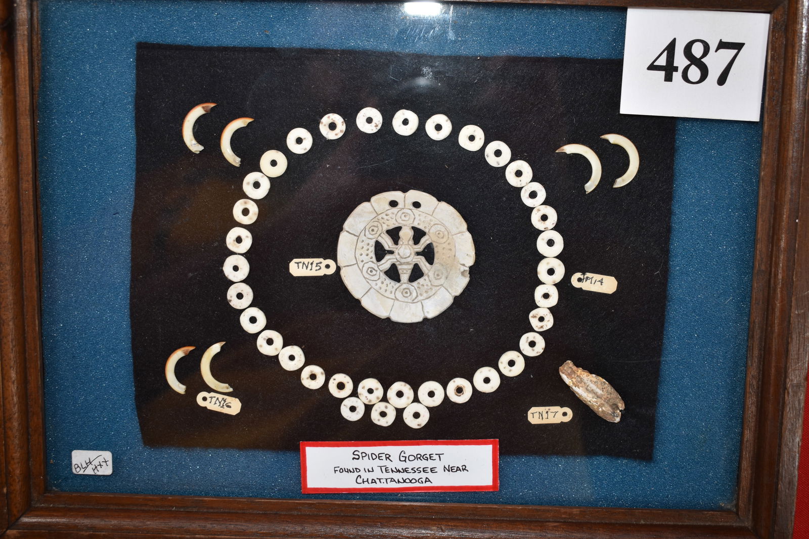 Shell Triscal & Beads: Shell Triscal & Beads – several animal teeth