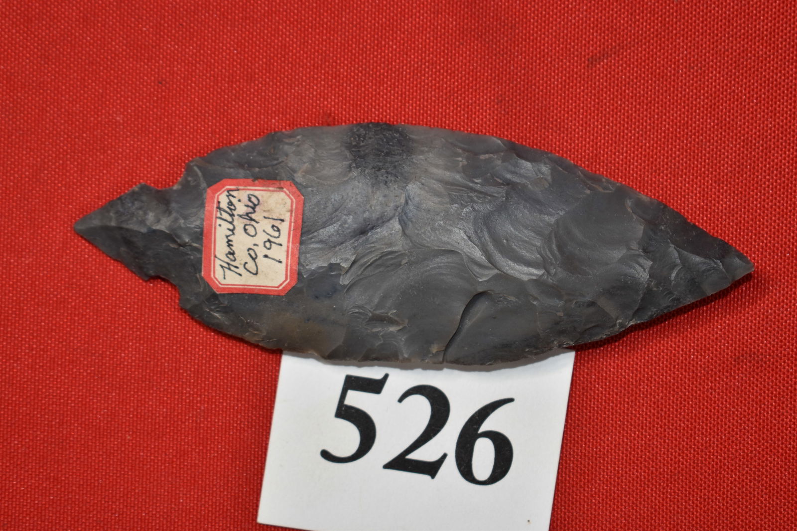 Hamilton Co. Ohio Turkey Tail: Hamilton Co. Ohio Turkey Tail 4 5/8”