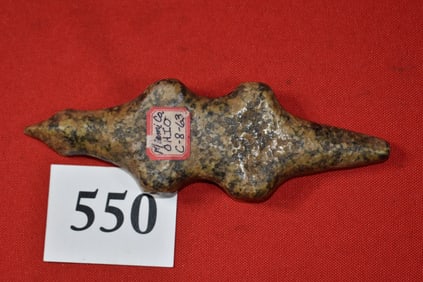 Conglomerate Lizard