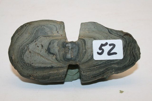 Banded Slate Butterfly Bannerstone: 3 ¼” Banded Slate Butterfly Bannerstone found in Augres, Michigan