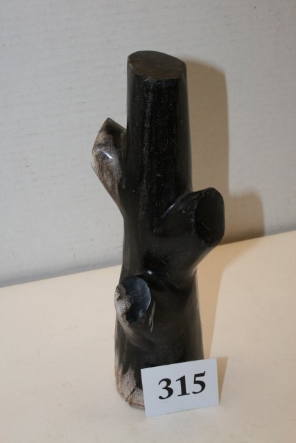 Petrified Wood in Limb Form: 9” x 2 ½” Petrified Wood in Limb Form, Indonesia