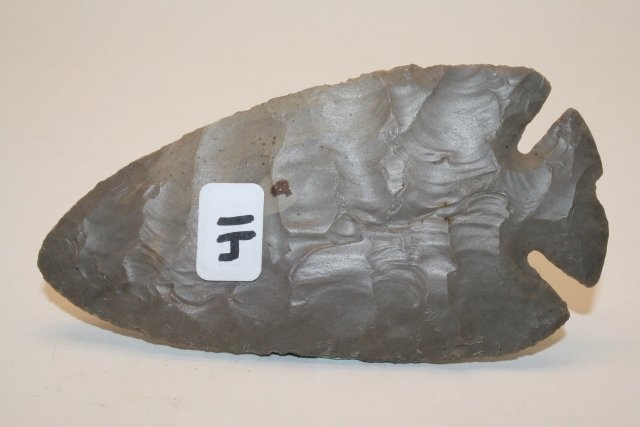 Hornstone Notched Base Dovetail Point: 4 7/16” Hornstone Notched Base Dovetail Point – some roughness to sides (tool box damage)Rausch Coll.
