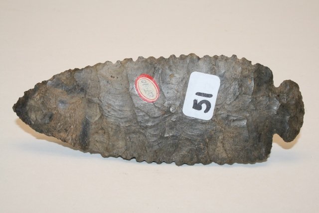Nellie Chert? Dovetail Point: 4 7/8” Nellie Chert? Unusual serrated Dovetail Point – Allen Co. Ohio – some roughness to tip Rausch Coll.