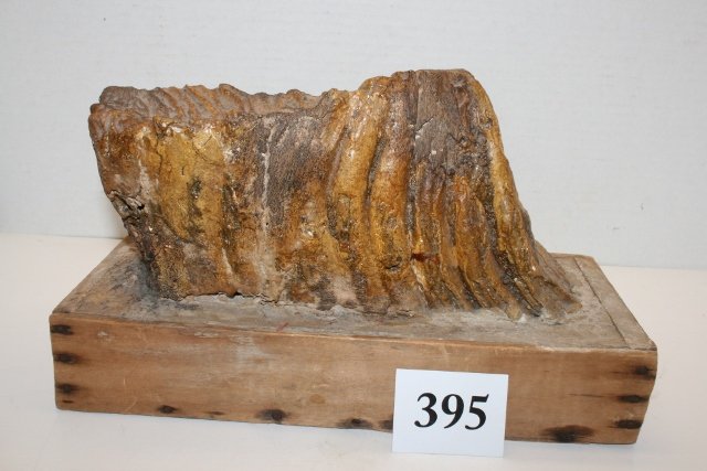 Prehistoric Mammoth Tooth: 10” x 4 ¼” x 4” Prehistoric Mammoth Tooth – mounted in wood, plaster base measurements of tooth only