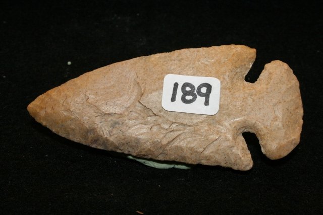 Chert Archaic Bevel Point: 3 5/8” Chert Archaic Bevel Point – Indiana