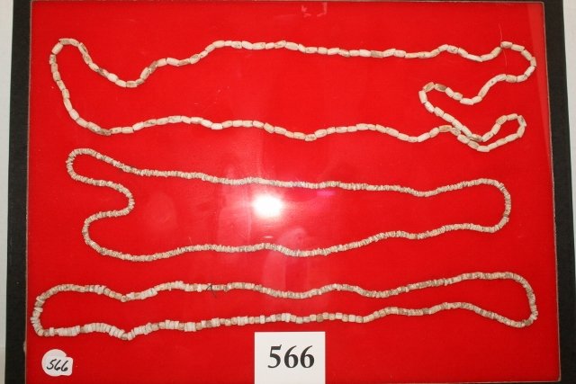 3 Strands Spiro Mound Shell Beads: 12 x 16 Frame 3 Strands Spiro Mound Shell Beads