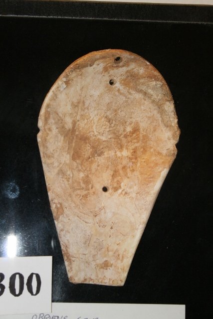 Sandal Sole 3 Hole Shell Gorget: 6 ½” x 4” Sandal Sole 3 Hole Shell Gorget, O’Briens Cave, Simpson Co. Ky. found Sept. 83, has encrustation, Kentucky Cave Culture, contemporaries of the Glacial Kame Culture in Ohio, Ind. Mi. S